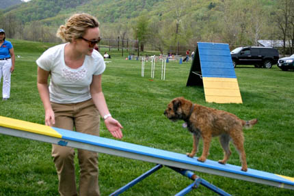 emily-dog-training